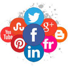 What To Look For In Real Estate SEO Services? A Complete Walkthrough For Realtors