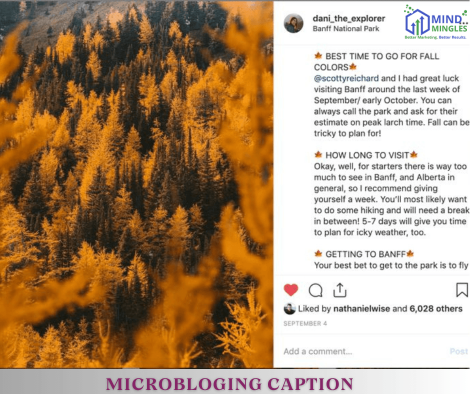 Instagram Captions