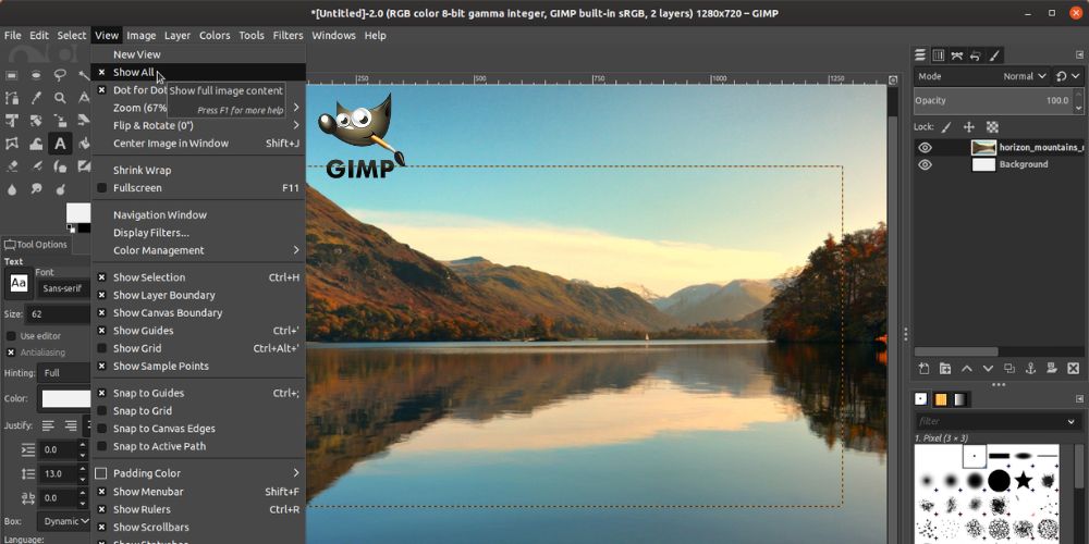 GIMP