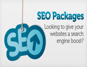 SEO Packages India