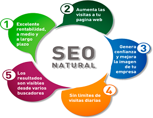 affordable SEO services in India