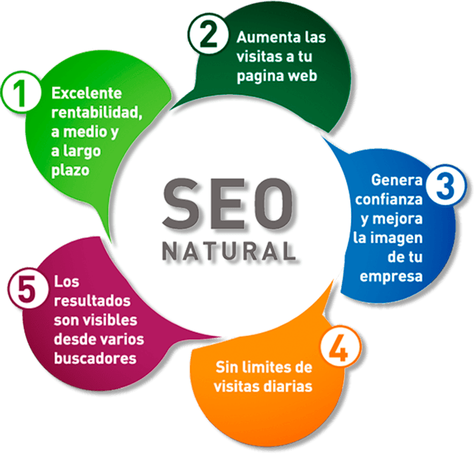 SEO Services India