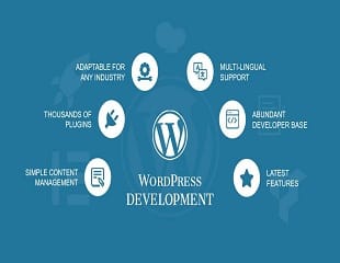 WordPress Development