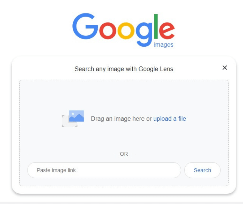 Reverse Video Search Google