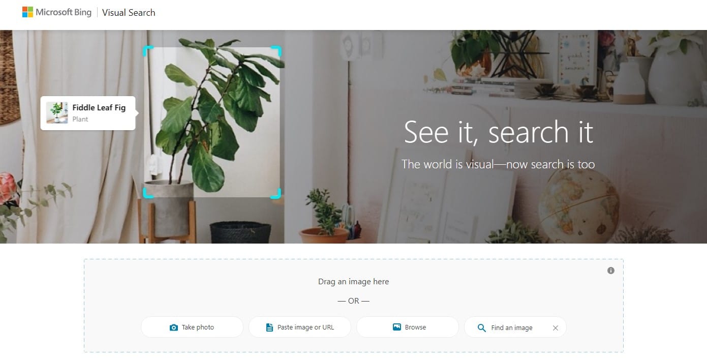 Bing Visual Search