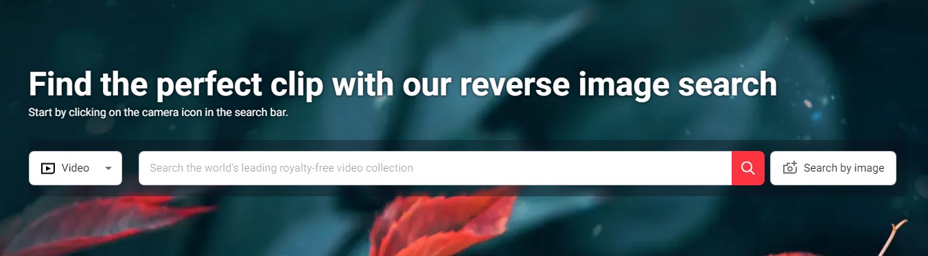 Shutterstock Reverese Search Video