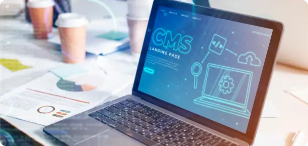 CMS Development
