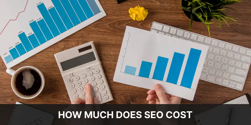 How Much Does SEO Cost