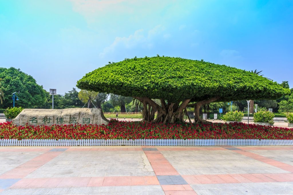 large outdoor artificial topiary trees