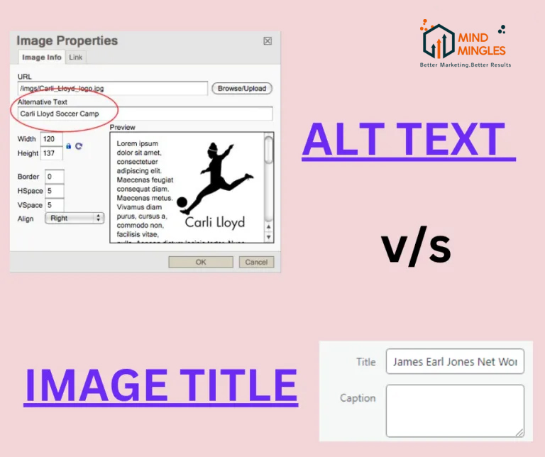 Difference Between Alt Text and Image Title