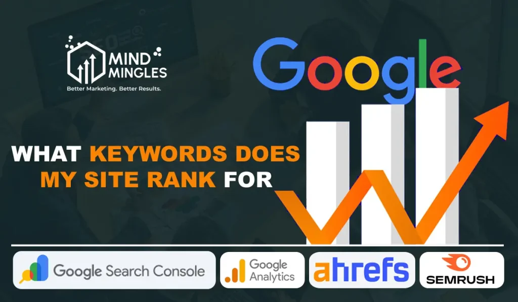 what keywords does my site rank for