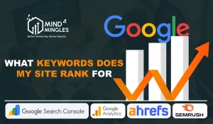 what keywords does my site rank for